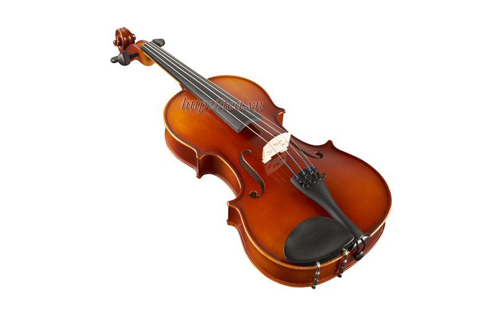 Đàn Violin Suzuki Size 1/2