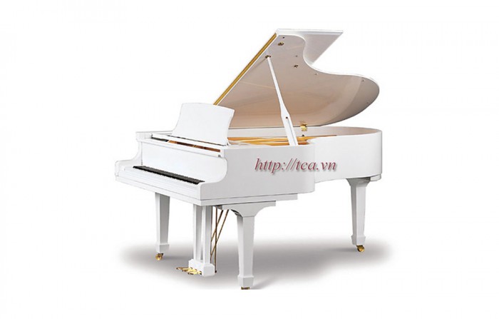 Piano RITMULLER GP160R