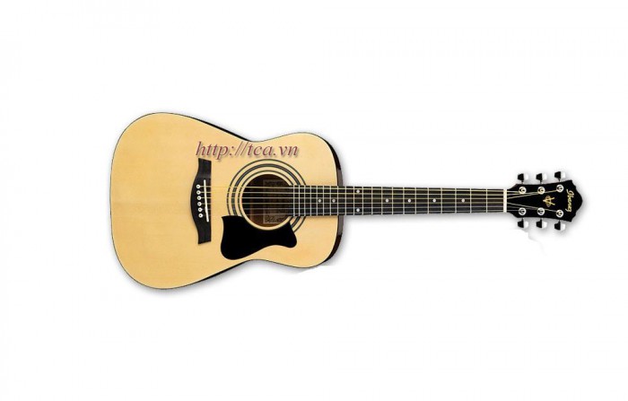 Đàn Guitar Ibanez V50NJP Model