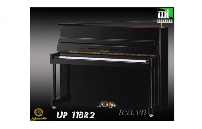 Đàn Piano Ritmuller UP 118R2