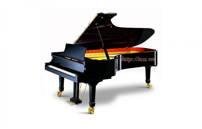 Đàn Piano Ritmuller GP213R1