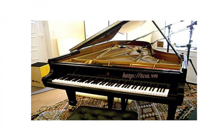 Đàn Piano Steinway &amp; Sons C-227