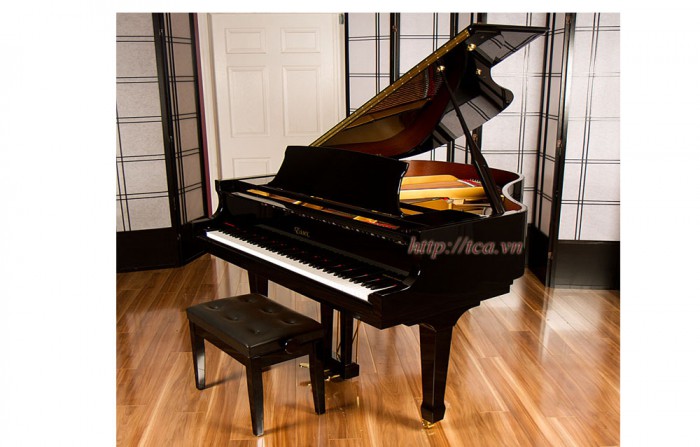 Đàn Piano Essex EGP-155R
