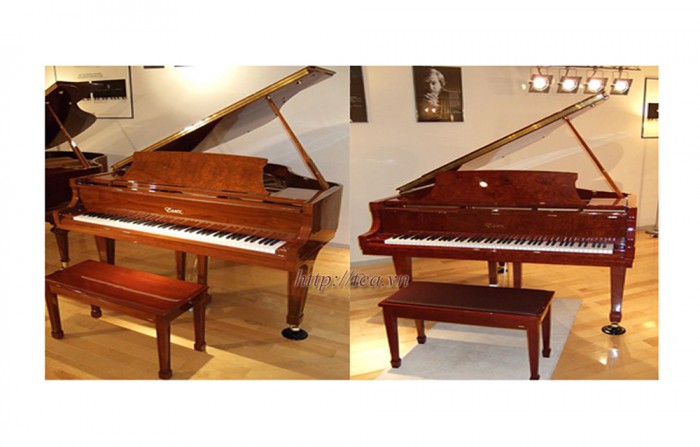Đàn Piano Essex EGP-155T