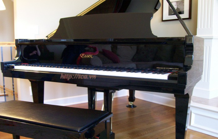 Đàn Piano Essex EGP-173C