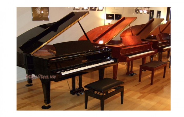 Đàn Piano Essex EGP-161C