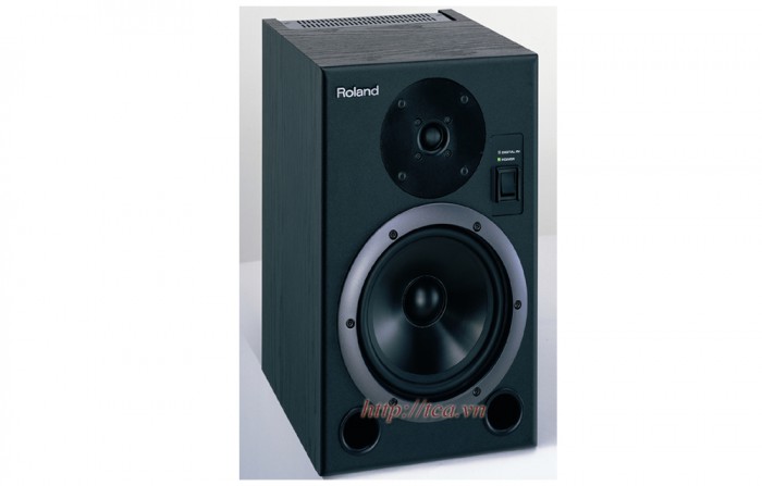 Loa kiểm âm ROLAND DS-7