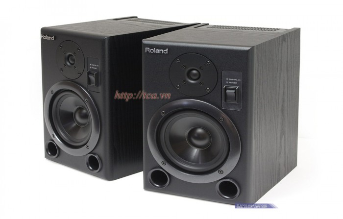 Loa Kiểm Âm DS-5 ROLAND