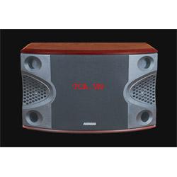 LOA KARAOKE ACNOS SL-99