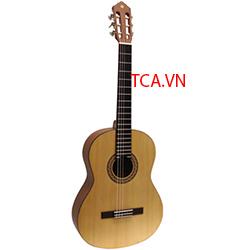 Đàn Acoustis guitar C40M Yamaha